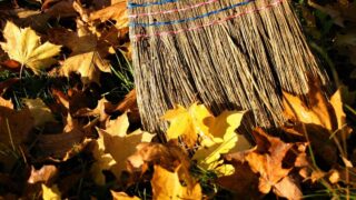 秋の落ち葉を箒で吐く様子