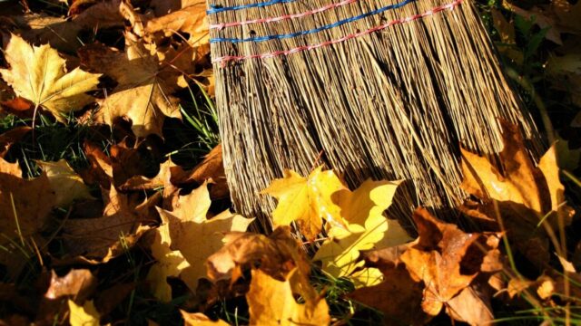 秋の落ち葉を箒で吐く様子
